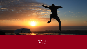 vida